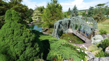piscine-naturelle-jardins-aquatiques-acorus-didier-hirsch-dsf0942-1200x800-1