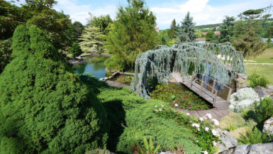 piscine-naturelle-jardins-aquatiques-acorus-didier-hirsch-dsf0942-1200x800-1