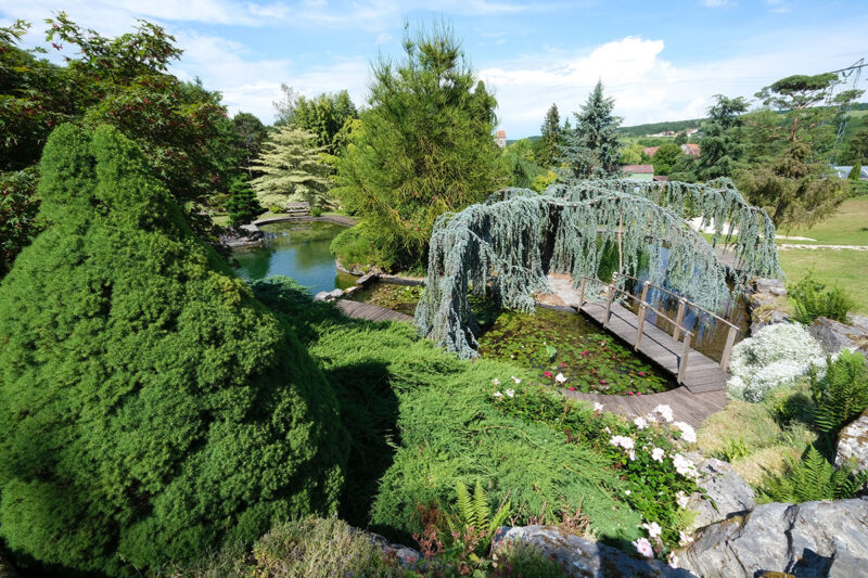 piscine-naturelle-jardins-aquatiques-acorus-didier-hirsch-dsf0942-1200x800-1