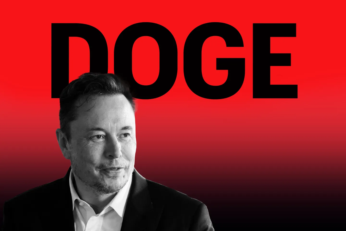 Department of Government Efficiency (DOGE)