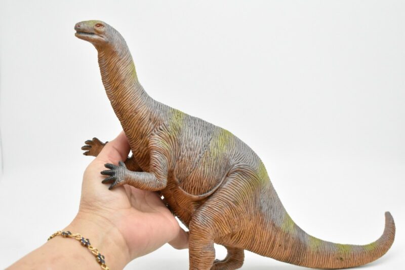 Dinosaure la queue du Plateosaurus