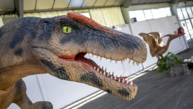 Dinosaures Foire de Pau