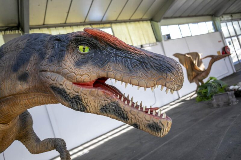 Dinosaures Foire de Pau
