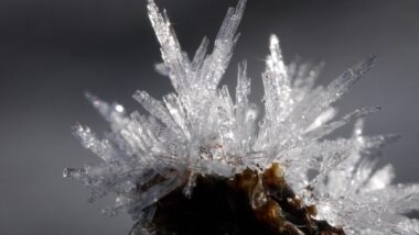 ice-1280x853-1 (1)