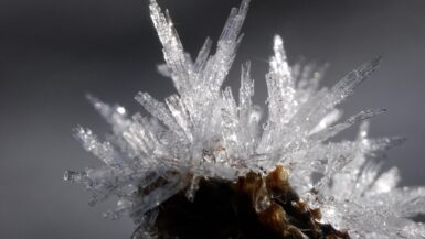 ice-1280x853-1 (1)