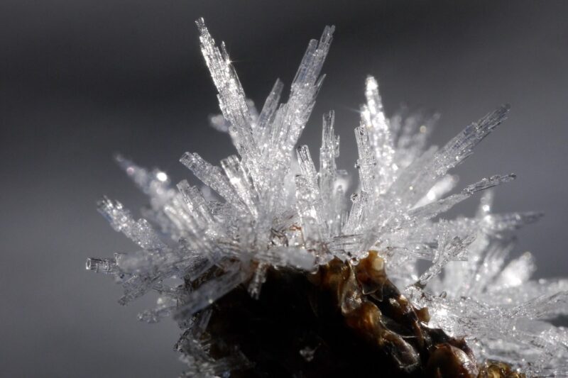ice-1280x853-1 (1)
