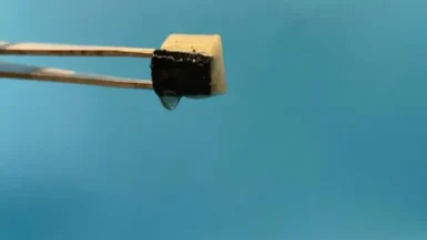 news-spongy-water-1220px-1 (1)
