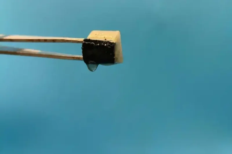 news-spongy-water-1220px-1 (1)