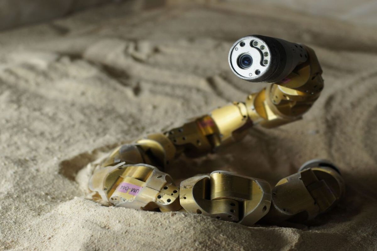 robot serpent (1)