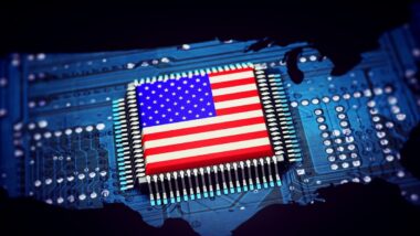 usa-puce-chip