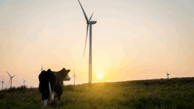 Énergie verte scandale choquant de corruption en Californie