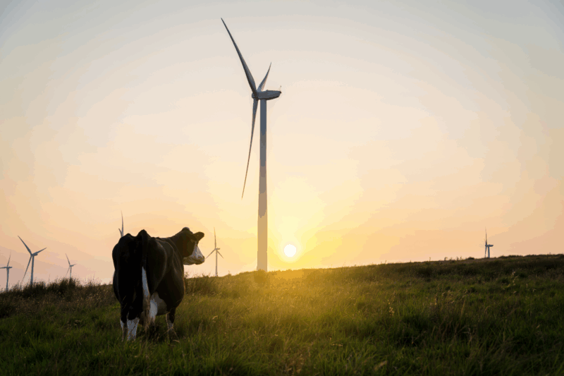 Énergie verte scandale choquant de corruption en Californie