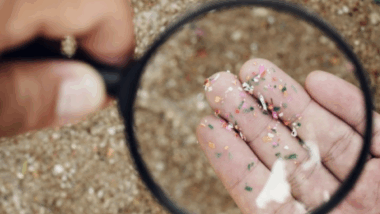 alerte sur les microplastiques, un danger caché pour 2025