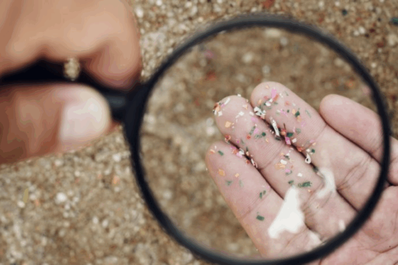 alerte sur les microplastiques, un danger caché pour 2025