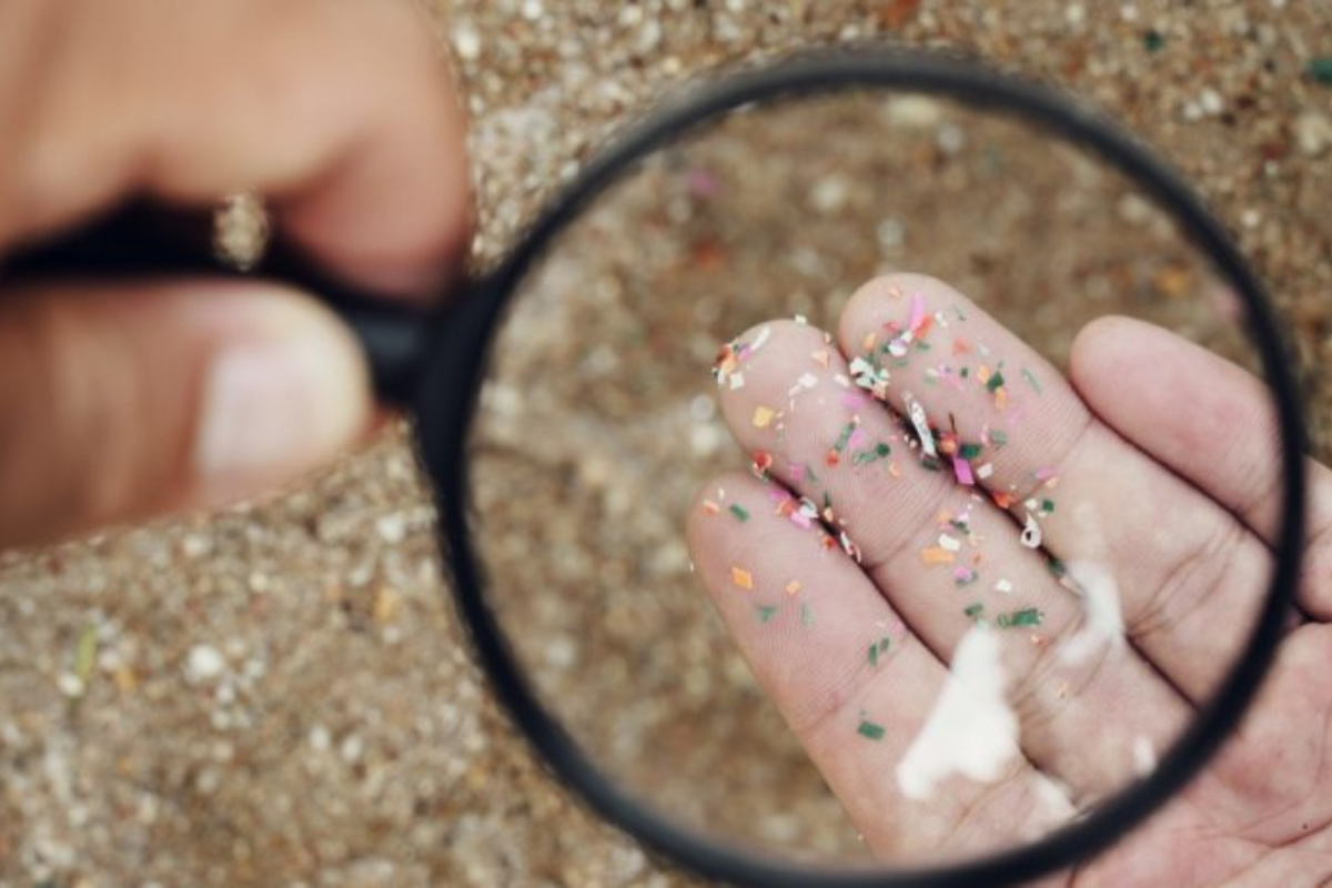 alerte sur les microplastiques, un danger caché pour 2025