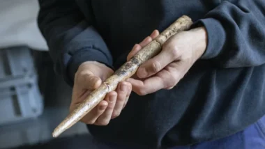 des outils en os de baleine révèlent un secret de l'âge glaciaire