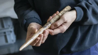 des outils en os de baleine révèlent un secret de l'âge glaciaire