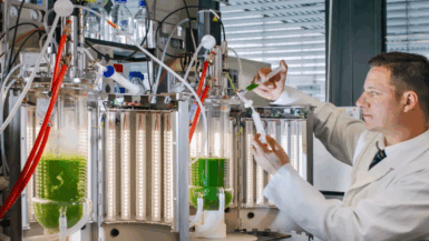 extraction rapide de terres rares en 2025